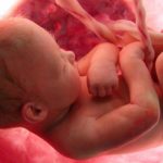 Preborn Baby in Utero